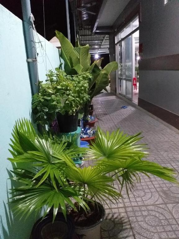 Nhà nghỉ Nguyên Anh Long Hải Ngoại thất bức ảnh