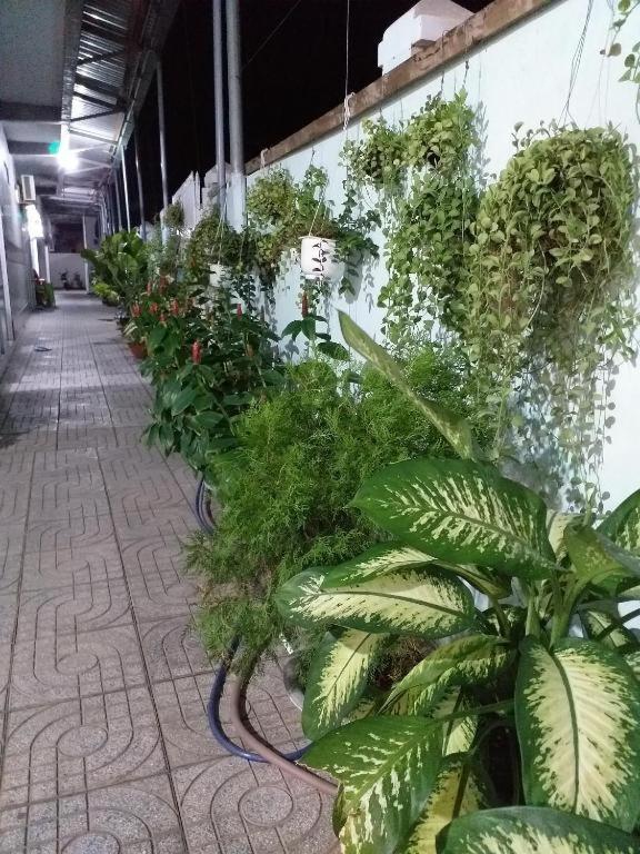 Nhà nghỉ Nguyên Anh Long Hải Ngoại thất bức ảnh